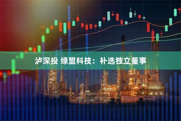 泸深投 绿盟科技：补选独立董事