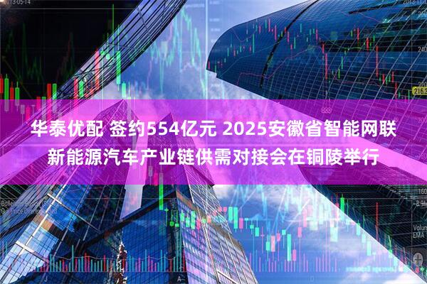 华泰优配 签约554亿元 2025安徽省智能网联新能源汽车产业链供需对接会在铜陵举行